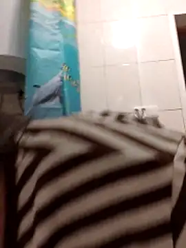 Zulfiya Bruce online show from November 1, 6:10 pm