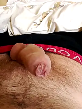 Snapshot of Robertvirt chatting on November 25, 10:37 am Robertvirt online show from November 25, 10:37 am