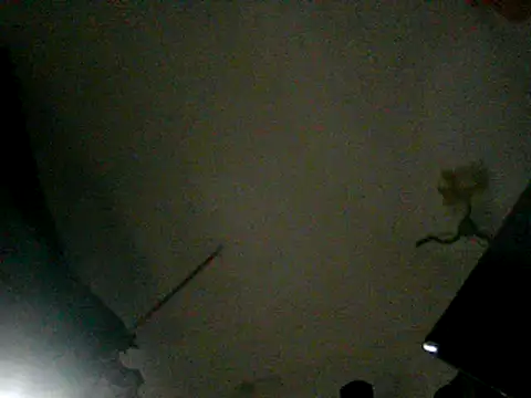 turnsen4y online show from April 5, 11:02 pm