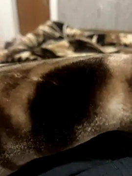 bigshow112 online show from November 13, 4:22 am