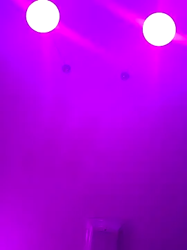 Snapshot of ScarletCallings420 chatting on February 24, 4:15 pm ScarletCallings420 online show from February 24, 4:15 pm