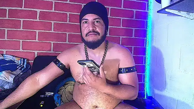 the master foal  online show from January 19, 12:17 pm