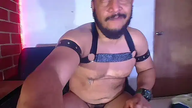 the master foal  online show from February 6, 8:18 am