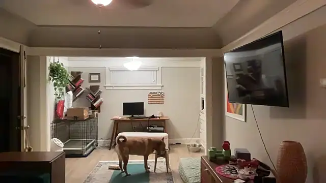 dreamyriri online show from March 15, 1:06 pm