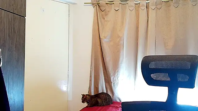 jimmy class online show from December 5, 3:09 pm