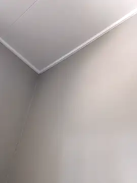 mustang69696 online show from April 6, 10:27 am