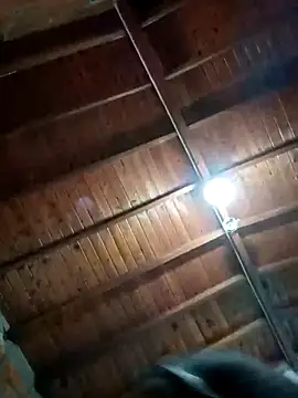 Bigassmommy x online show from November 3, 1:56 pm