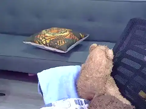 Bee 2k online show from February 4, 5:02 am