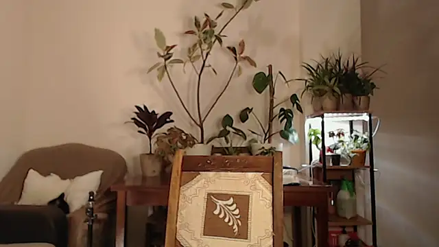 Snapshot of Herman_Elfi chatting on March 13, 11:16 pm Herman Elfi online show from March 13, 11:16 pm