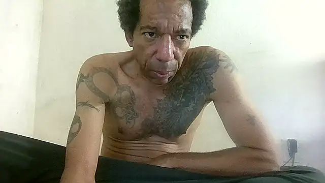 247Srokin online show from November 11, 3:45 pm