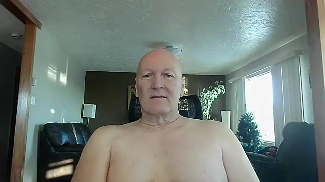 BasicAnt online show from December 16, 3:28 pm