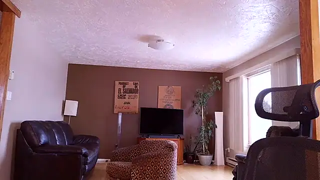 BasicAnt online show from March 17, 1:47 pm