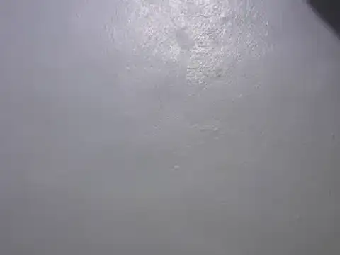 Snapshot of Forsia chatting on January 7, 3:24 am Forsia online show from January 7, 3:24 am