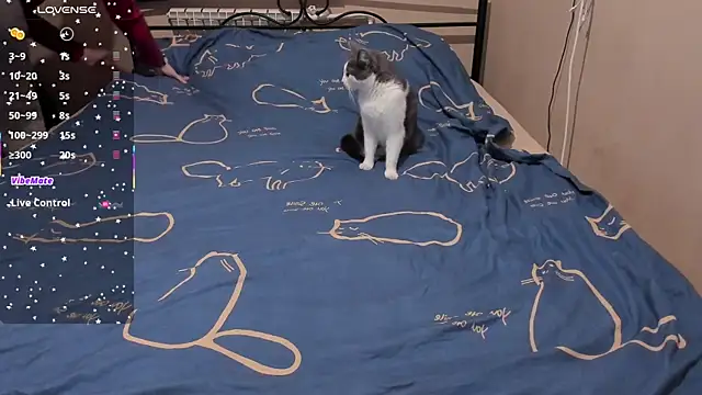 eva zero online show from March 3, 2:01 pm