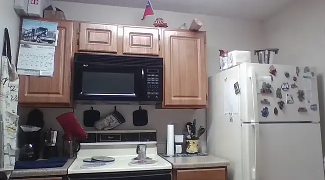 Snapshot of EvaRobinson chatting on February 25, 3:05 pm EvaRobinson online show from February 25, 3:05 pm