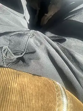 dingoding online show from February 10, 3:10 pm