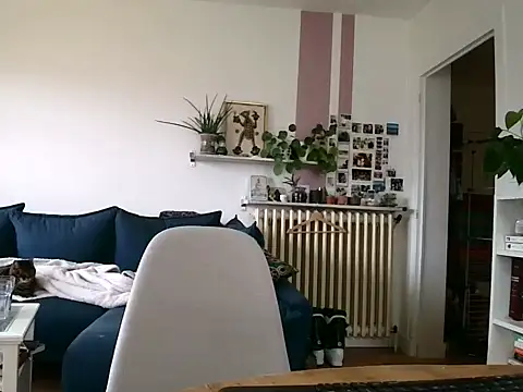 Snapshot of Simon-tem chatting on February 5, 1:38 pm Simon-tem online show from February 5, 1:38 pm