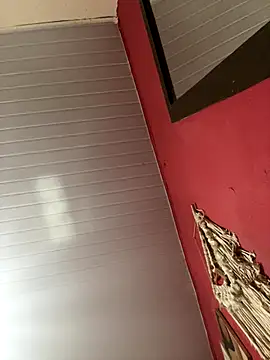 pimenta gaby online show from November 15, 2:13 pm