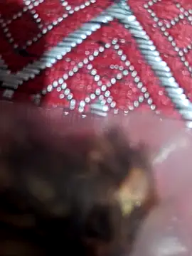 XBHUUME online show from February 1, 10:15 am