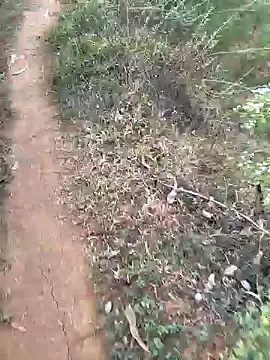 Gopal1243 online show from January 15, 2:27 am