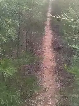 Gopal1243 online show from February 17, 1:47 am