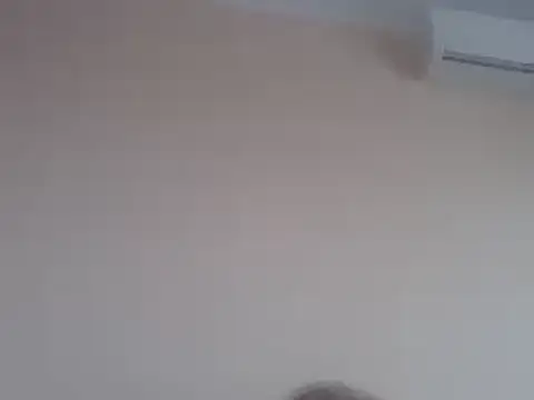 aavocadok online show from December 12, 8:03 am