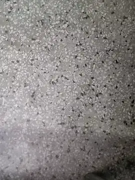 Rajibsorkar20 online show from January 16, 9:19 pm