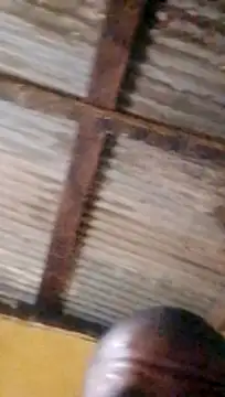 LULE37587001 online show from March 18, 10:35 pm