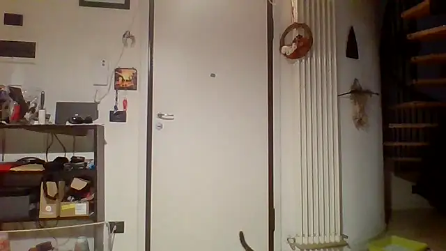 woww791 online show from March 25, 9:54 pm