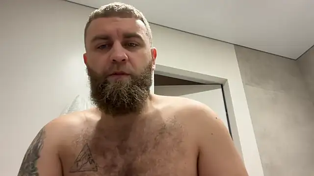 Bear bear  online show from November 7, 9:09 am