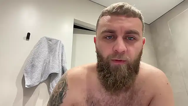 Bear bear  online show from November 8, 9:20 am