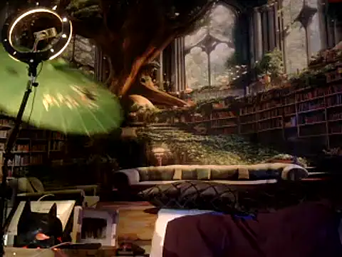 OSIRlS online show from January 17, 1:46 pm