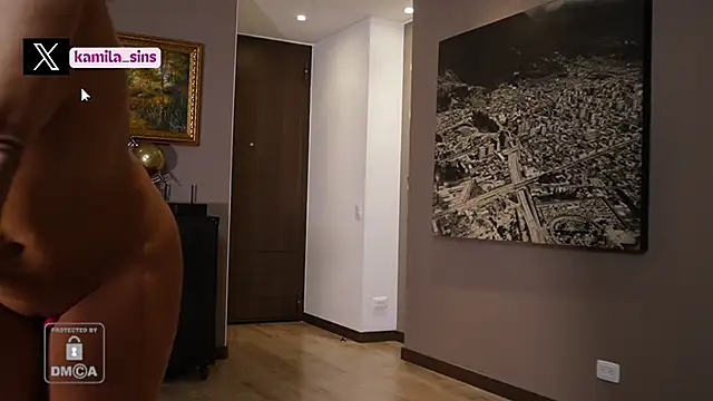 kamila sins online show from December 19, 11:35 pm