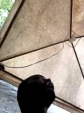 Snapshot of HARLEXBIGCOCK chatting on December 10, 6:38 pm HARLEXBIGCOCK online show from December 10, 6:38 pm