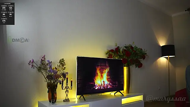 Snapshot of maryssaa_ chatting on November 26, 5:03 pm maryssaa online show from November 26, 5:03 pm