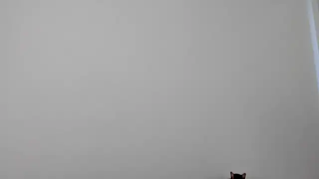 All yours555 online show from October 17, 8:55 pm