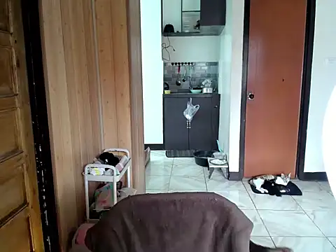 katie white online show from July 9, 3:54 am