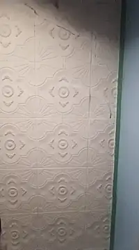 HAIRY PUSSY BIG online show from January 1, 1:05 pm