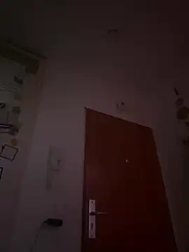 Toyjungee online show from December 23, 1:03 pm