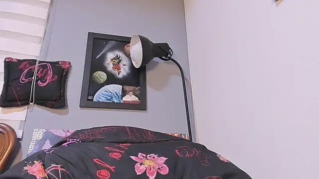 damn fox online show from December 19, 2:01 am