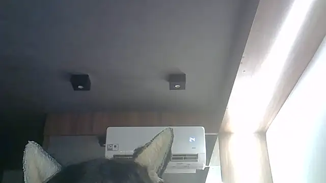 Skinny-Kitten online show from April 1, 8:04 am