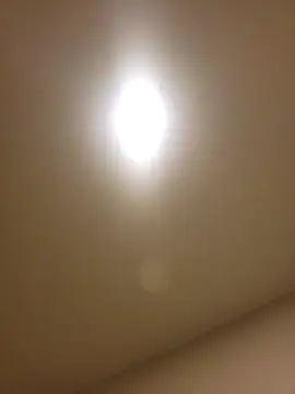 lofibunni online show from February 14, 12:46 pm