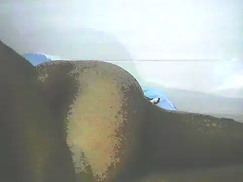 Snapshot of Stormward chatting on January 12, 12:28 am Stormward online show from January 12, 12:28 am