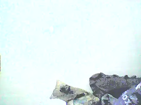 Snapshot of Stormward chatting on January 12, 8:46 am Stormward online show from January 12, 8:46 am