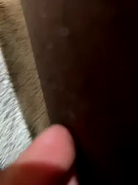 Snapshot of la_chiennete chatting on November 18, 9:30 pm la chiennete online show from November 18, 9:30 pm