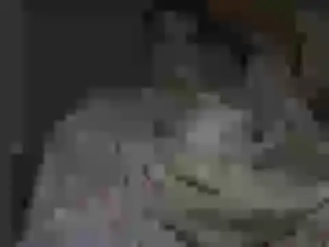 Snapshot of maxstelll chatting on February 24, 4:21 am maxstelll online show from February 24, 4:21 am