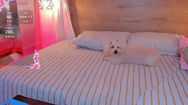 Sooffii 1 online show from February 7, 11:13 pm