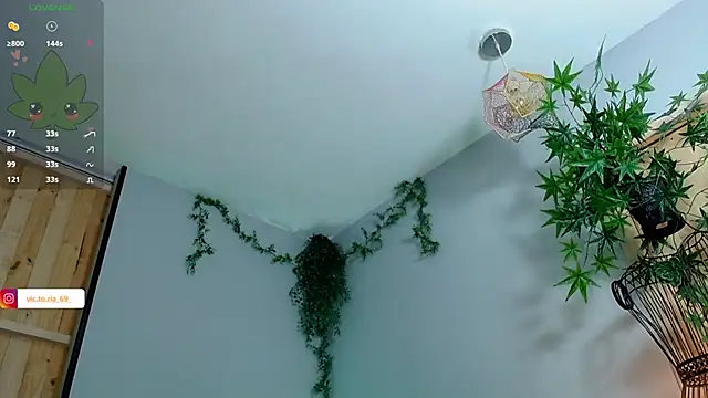 VickyJackson  online show from February 1, 8:26 pm