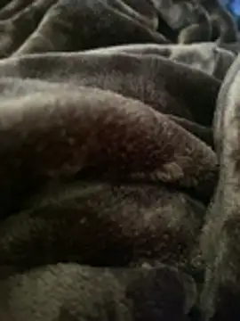 ft2022W online show from March 7, 6:16 pm