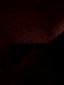 The wickles 4443 online show from November 22, 11:04 pm